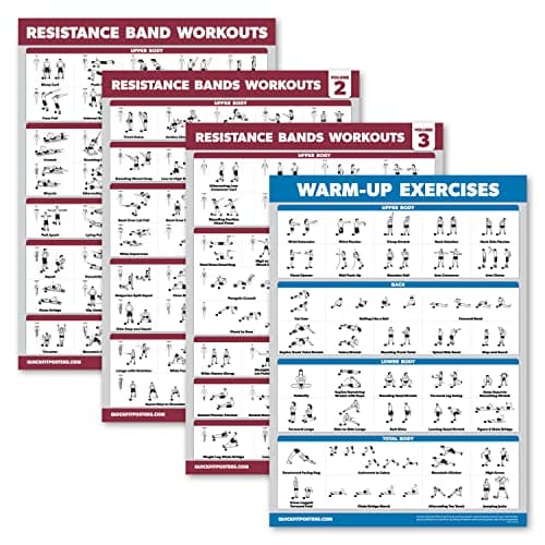 Palace Learning 4 Pack Resistance Bands Workout Posters Review