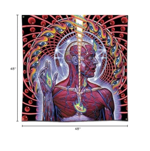 Eksent Tool Lateralus Banner Huge Fabric Poster Tapestry Flag Album Cover Art (4X4 Ft)