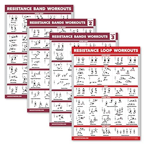 Resistance Band Exercise Posters Review – Palace Learning 4-Pack Worth It?