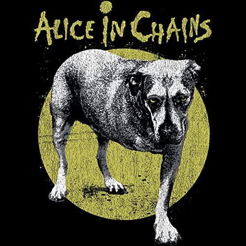 American Classics Alice in Chains Self Titled Album Cover Mens Short Sleeve T Shirts 90s Music Graphic Tees Black