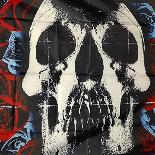 DAOOPS Deftones Flag Album Cover Tapestry Skull Art Poster 4x4 ft banner man cave