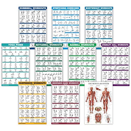 Set de 10 Pósters de Ejercicios Laminados – Análisis Completo 2024